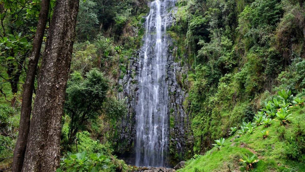 MATERUNI WATERFALL DAY TRIP - Crater Explorer Tours and Safaris